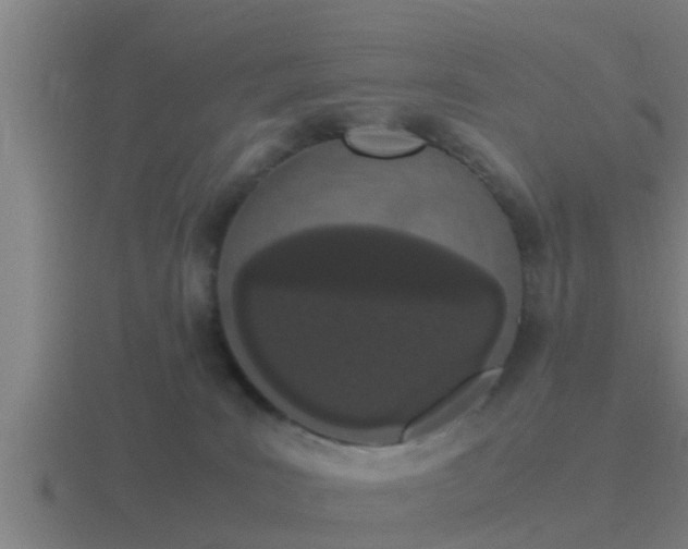 X0000116840035200912241237