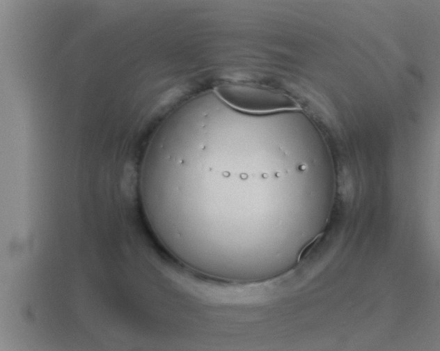 X0000116840036200912241237