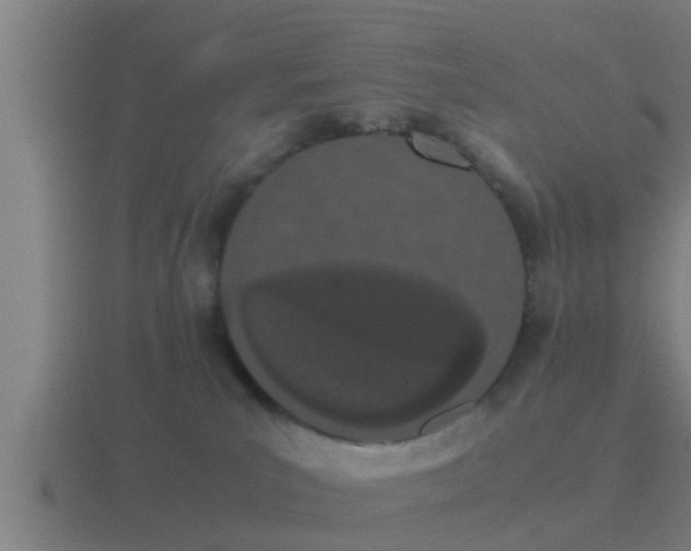 X0000116840039200912241237