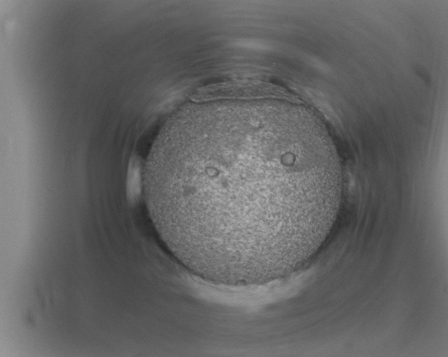 X0000116840042200912241237