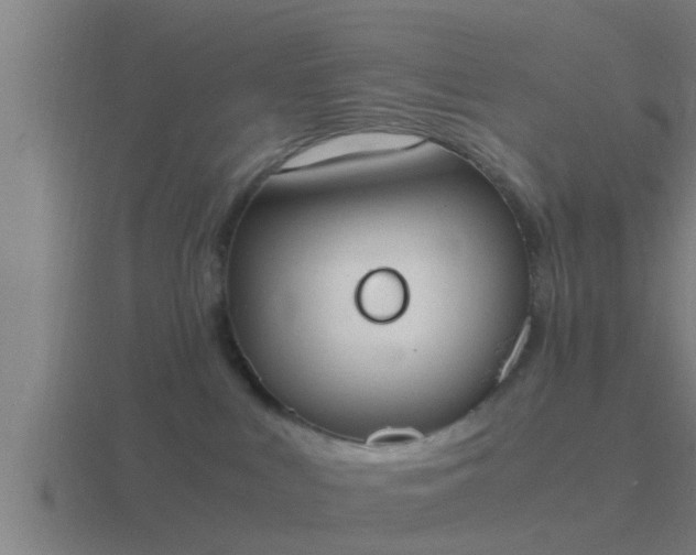 X0000116840043200912241237