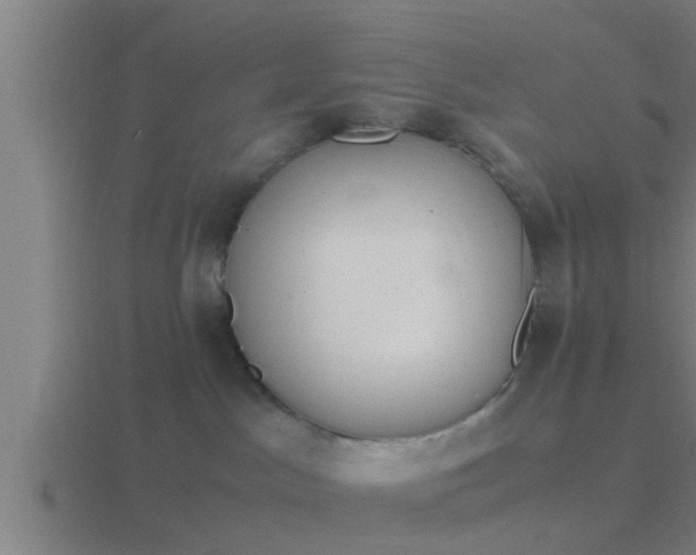 X0000116840045200912241237