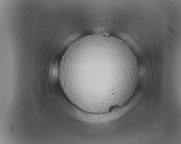 X0000116840046200912241237