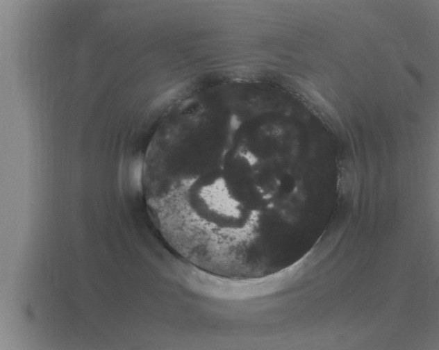 X0000116840047200912241237