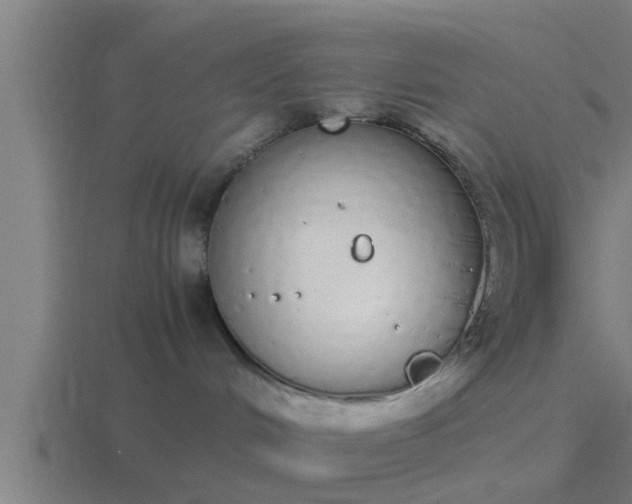 X0000116840048200912241237