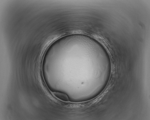 X0000116840049200912241236