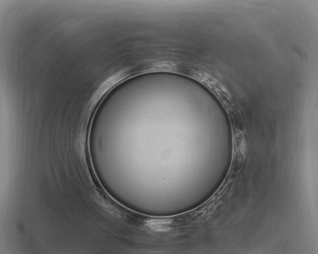 X0000116840051200912241236