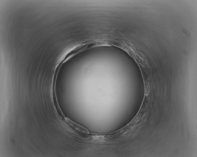 X0000116840052200912241236