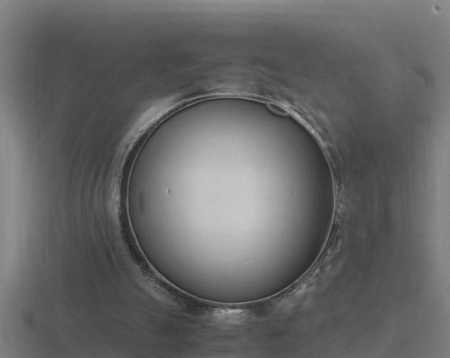 X0000116840055200912241236