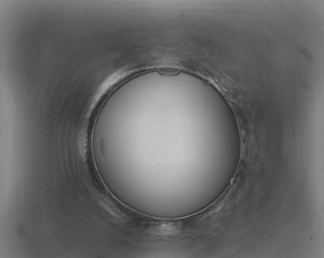 X0000116840056200912241236