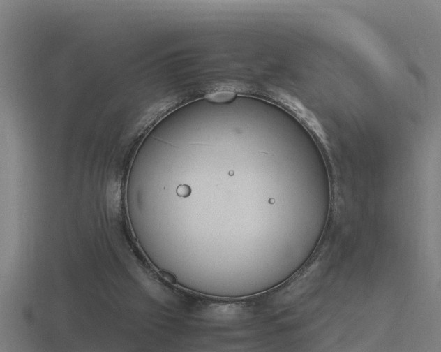 X0000116840057200912241236