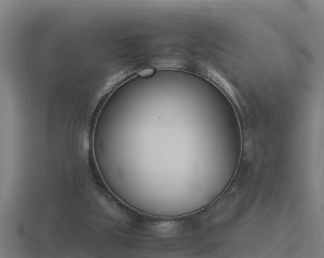 X0000116840059200912241236