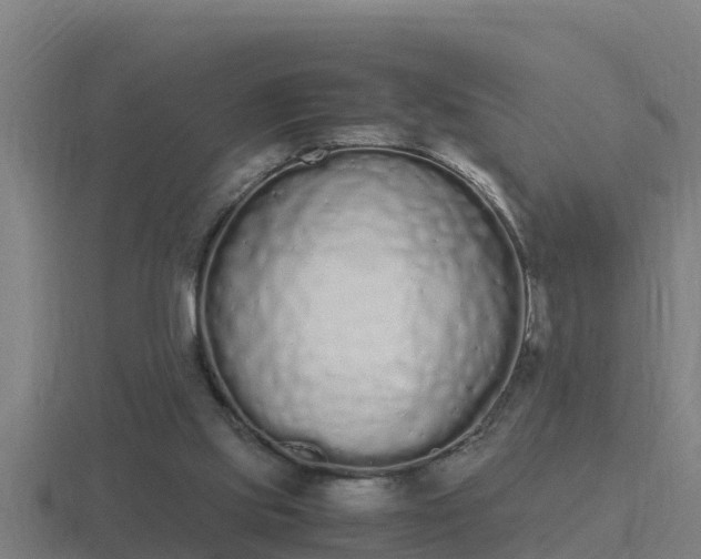 X0000116840061200912241236