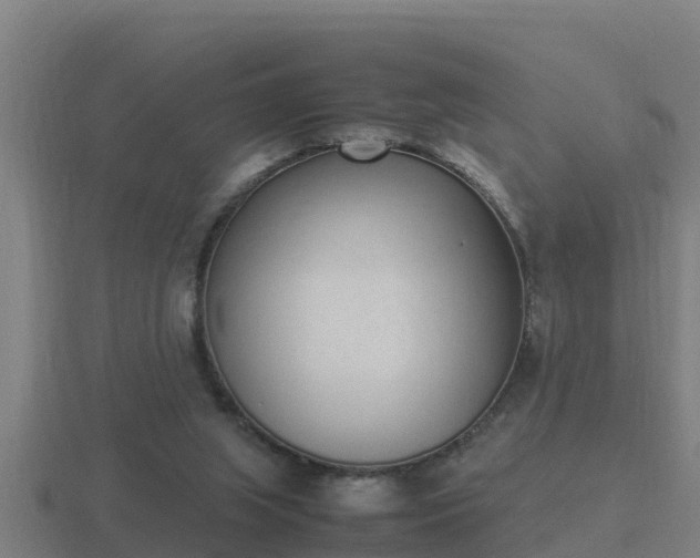 X0000116840063200912241236