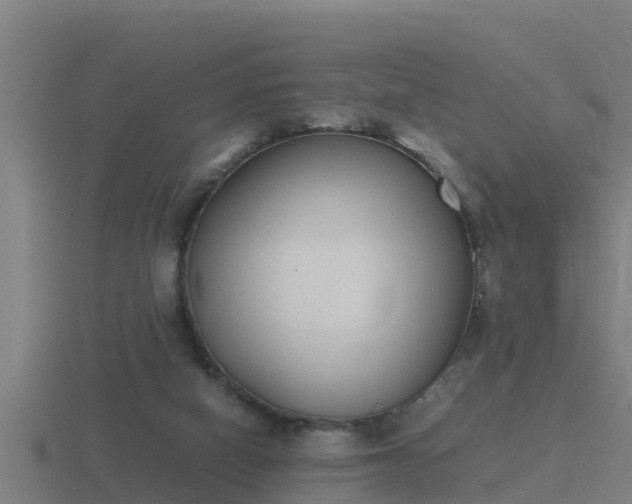 X0000116840066200912241236