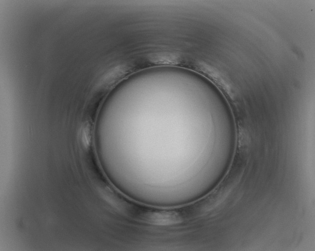 X0000116840069200912241236