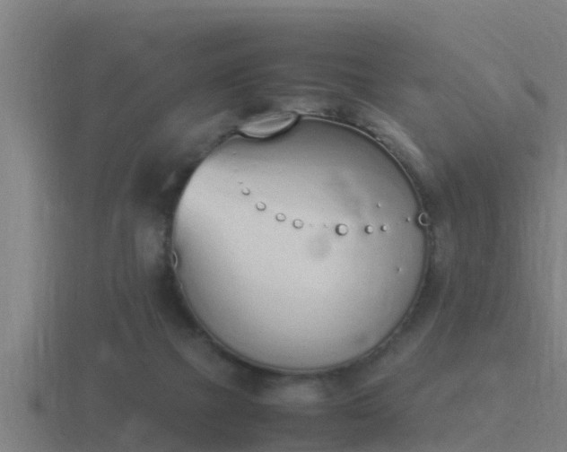 X0000116840073200912241236