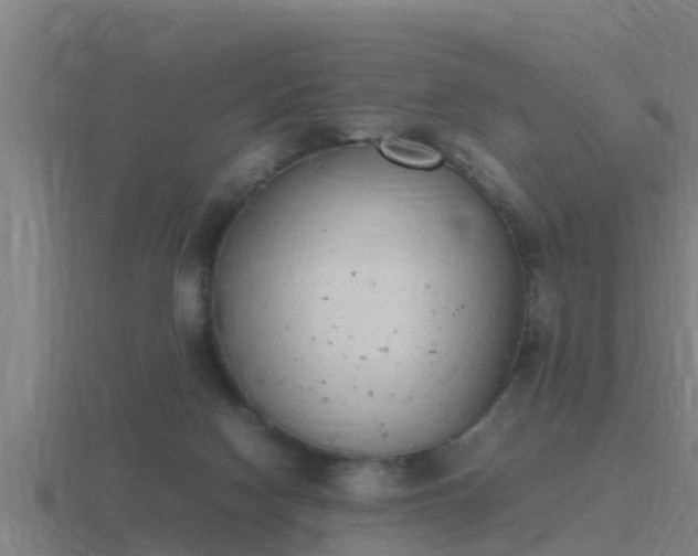 X0000116840074200912241236