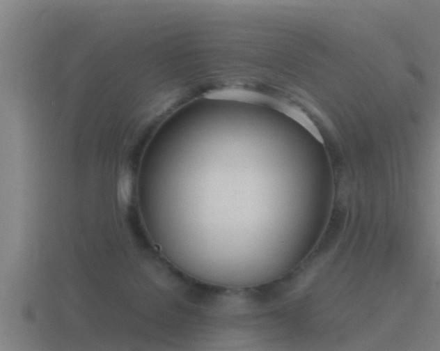 X0000116840076200912241236