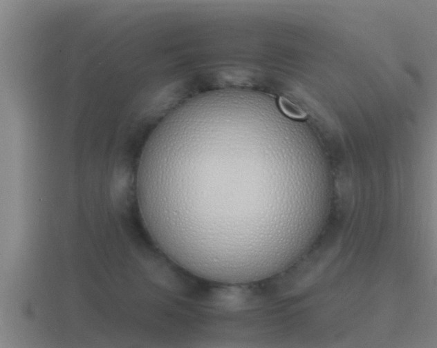 X0000116840079200912241236