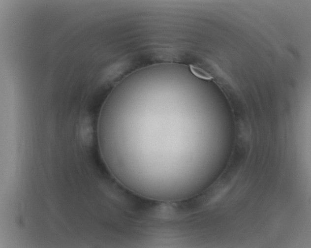 X0000116840080200912241237