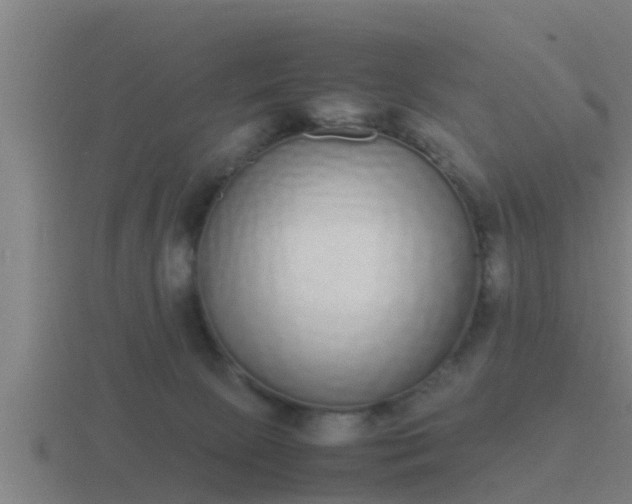 X0000116840081200912241237