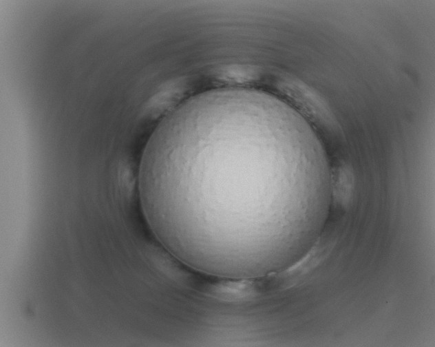 X0000116840086200912241237