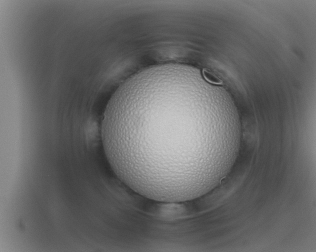 X0000116840087200912241237