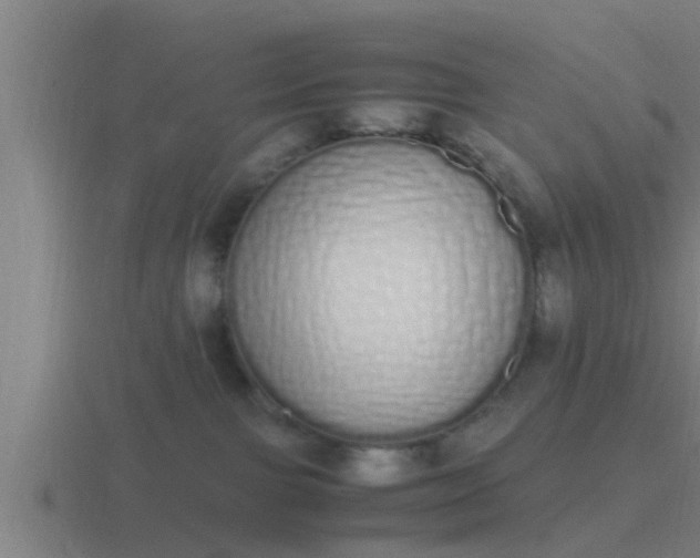 X0000116840091200912241237