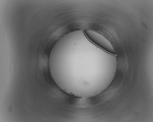 X0000116840092200912241237