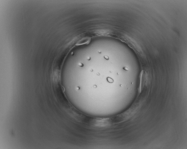 X0000116840093200912241237