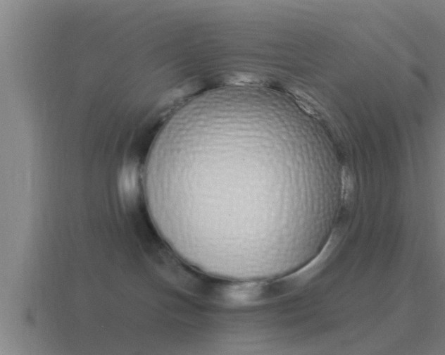 X0000116840094200912241237