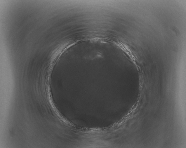 X0000116840097200912241236