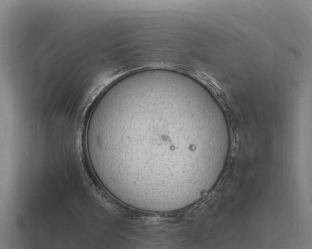 X0000116840098200912241236