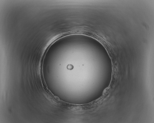 X0000116840100200912241236