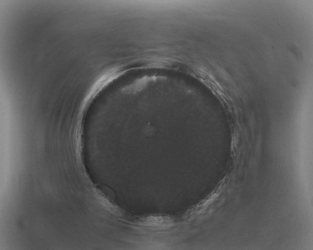 X0000116840101200912241236