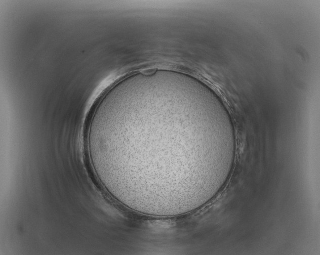 X0000116840102200912241236