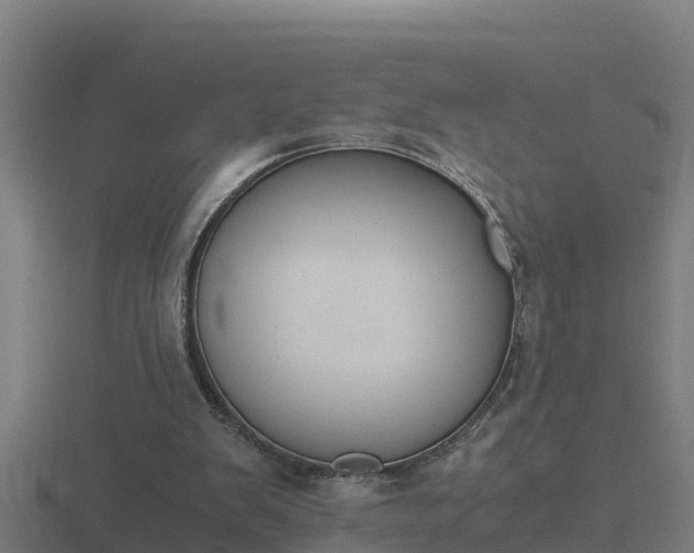 X0000116840103200912241236