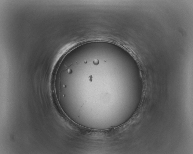 X0000116840104200912241236