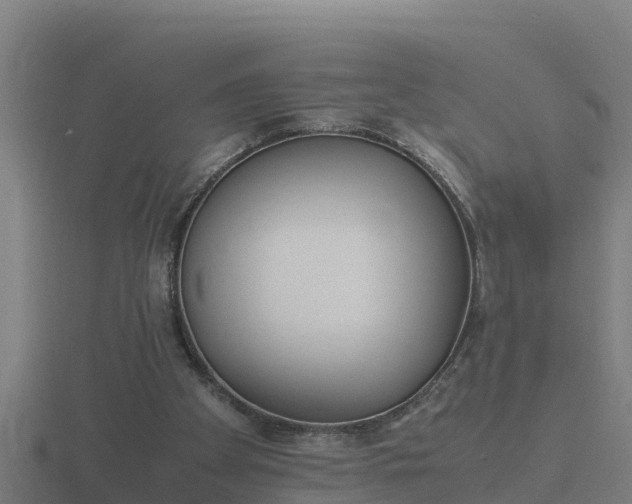 X0000116840105200912241236