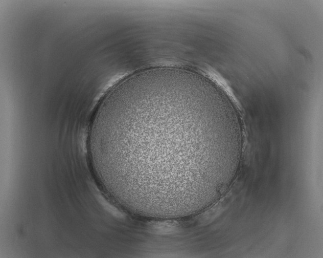 X0000116840106200912241236