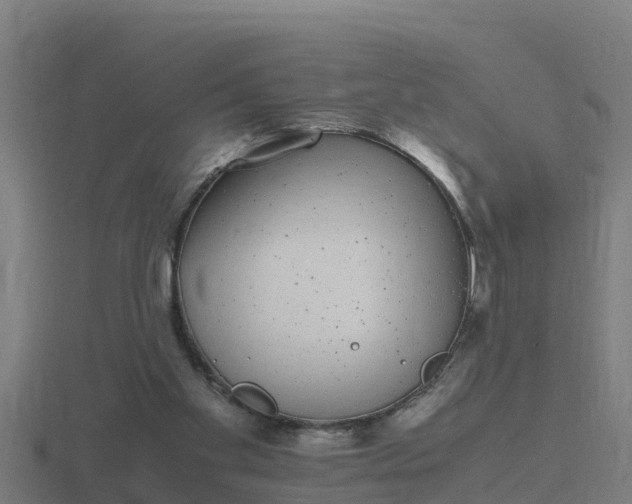 X0000116840109200912241236