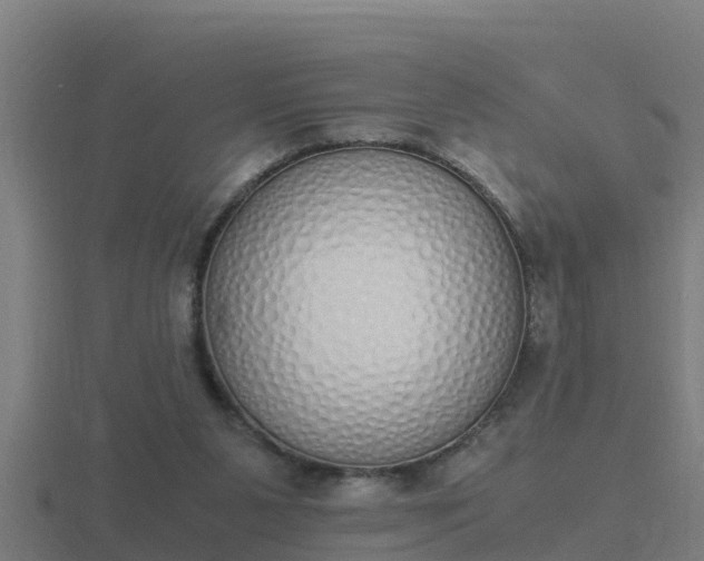 X0000116840111200912241236