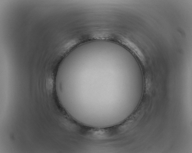 X0000116840113200912241236