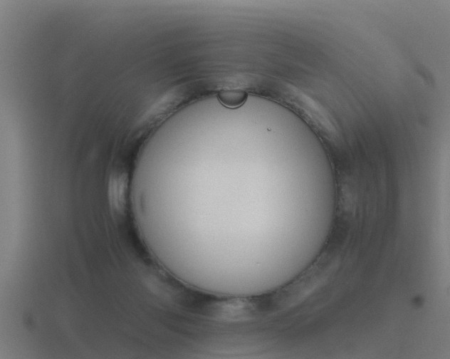 X0000116840118200912241236