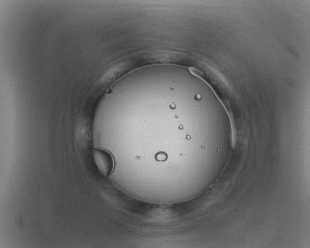 X0000116840119200912241236