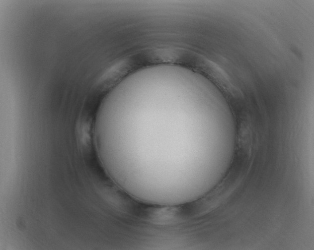 X0000116840122200912241236