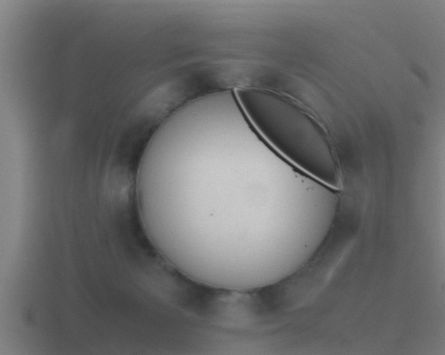 X0000116840125200912241236