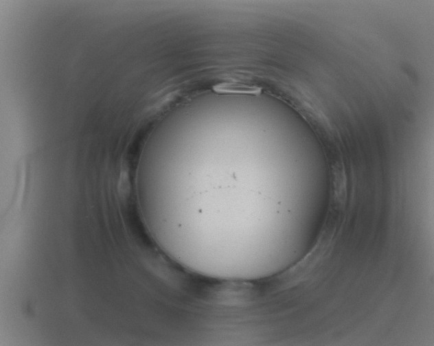 X0000116840128200912241236