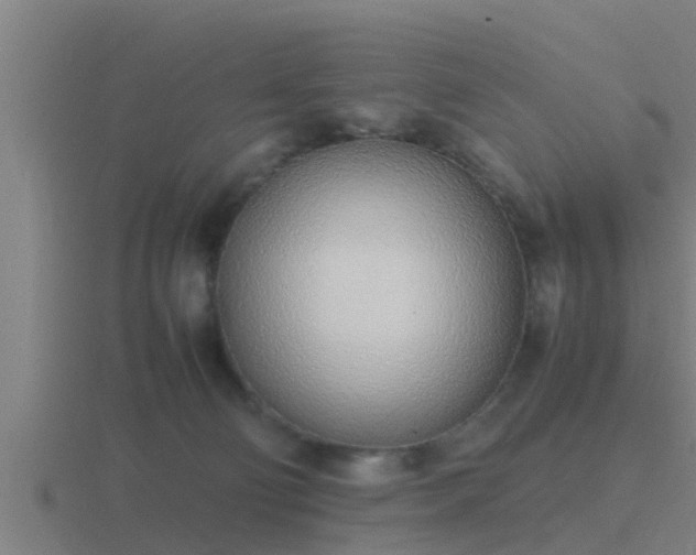 X0000116840130200912241236